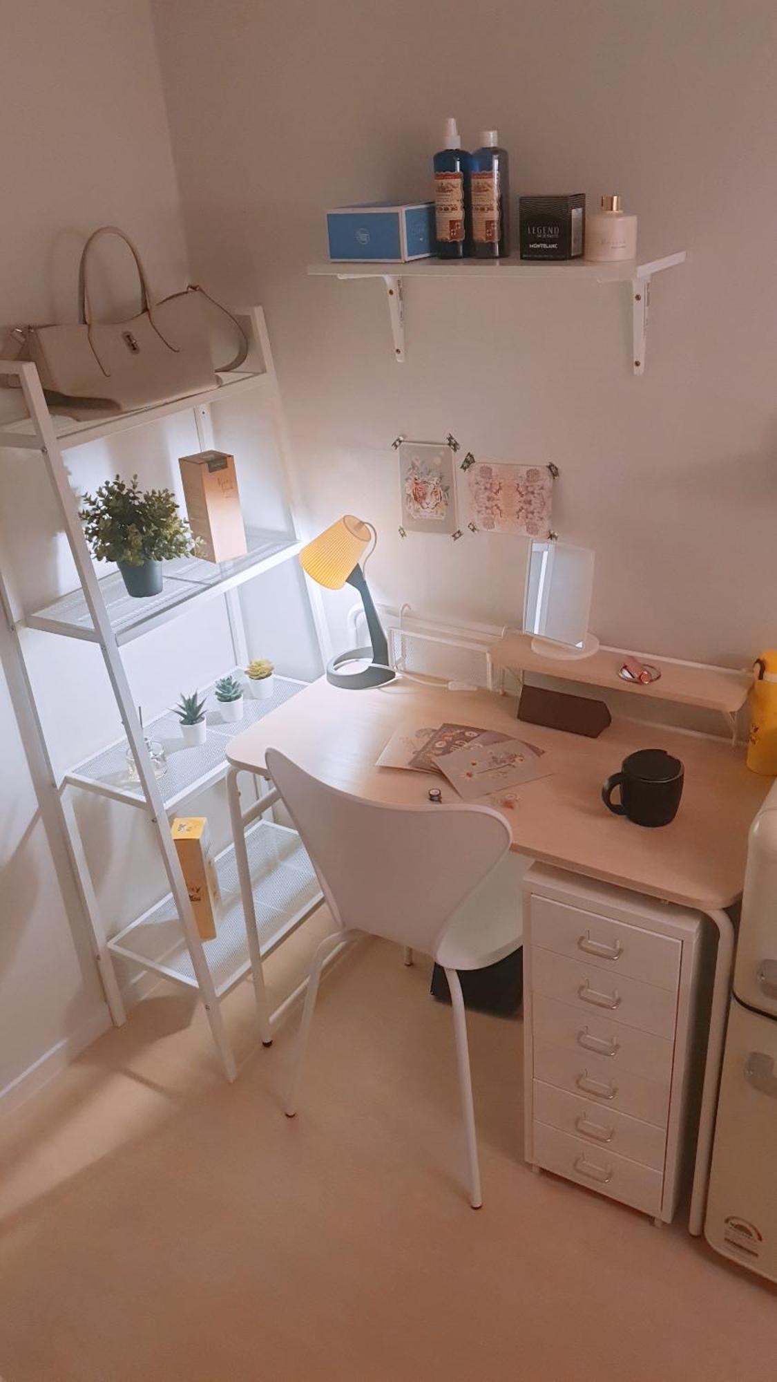 Female Only, Stay Parc 서울특별시 외부 사진